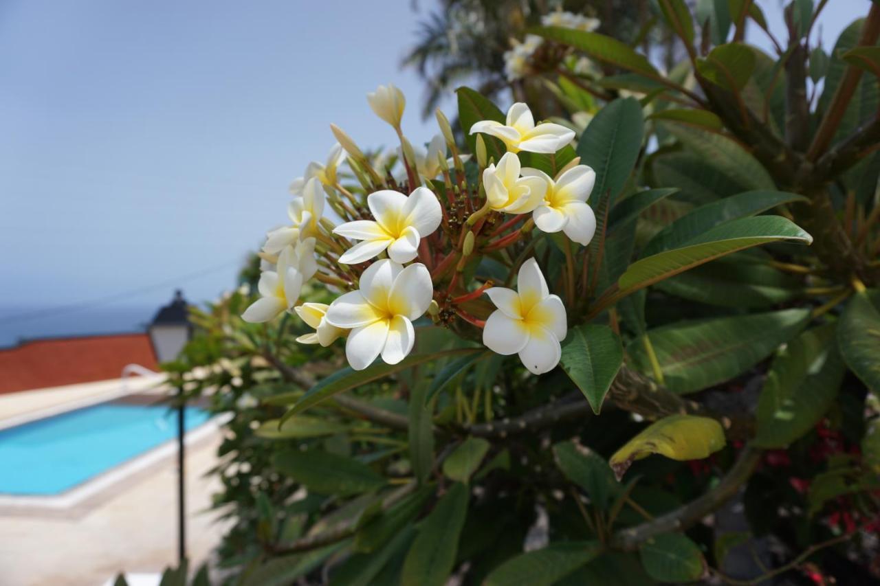 Finca La Romera ラ・オロタバ エクステリア 写真